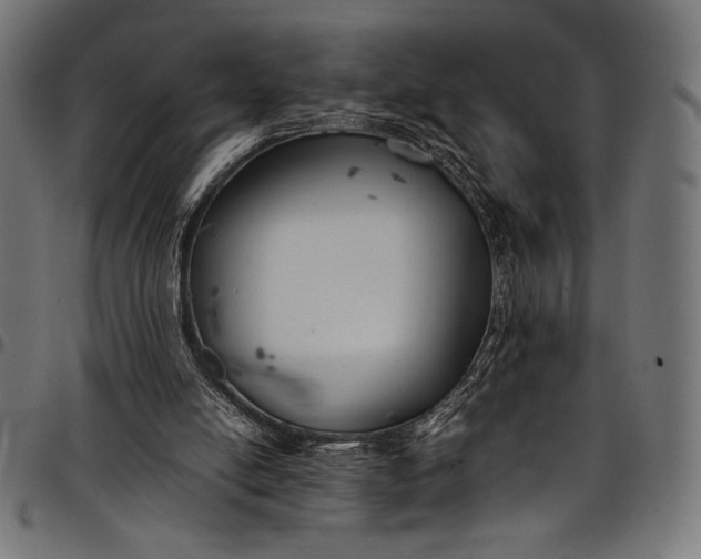 X0000097820054200803281130