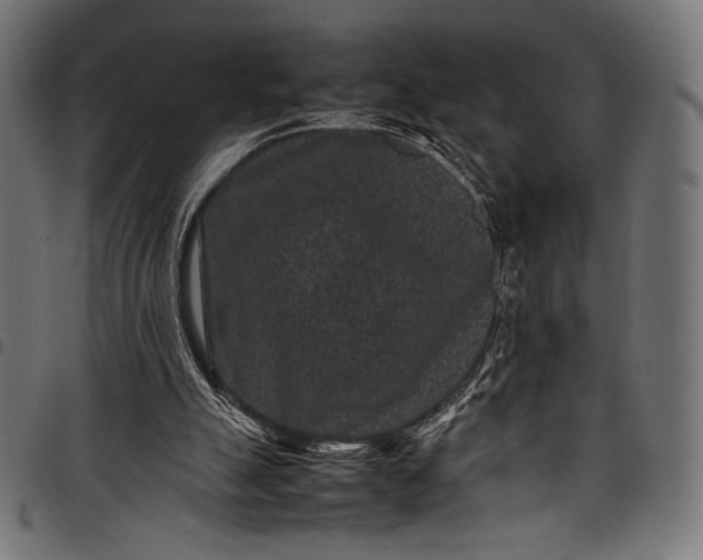 X0000097820055200803281130