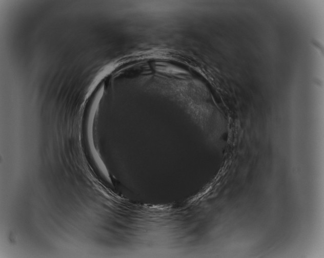 X0000097820056200803281130