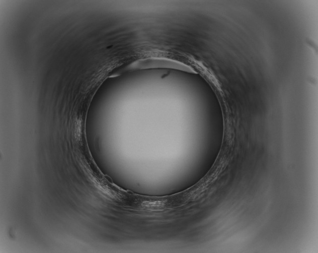 X0000097820057200803281130