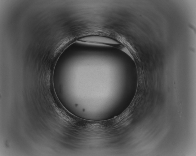 X0000097820058200803281130