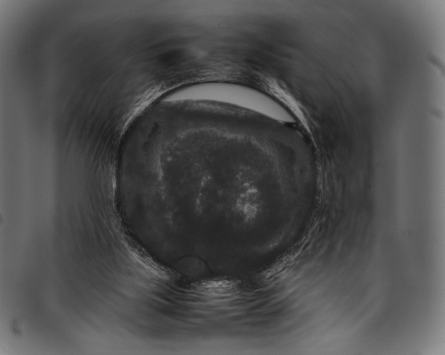 X0000097820059200803281130