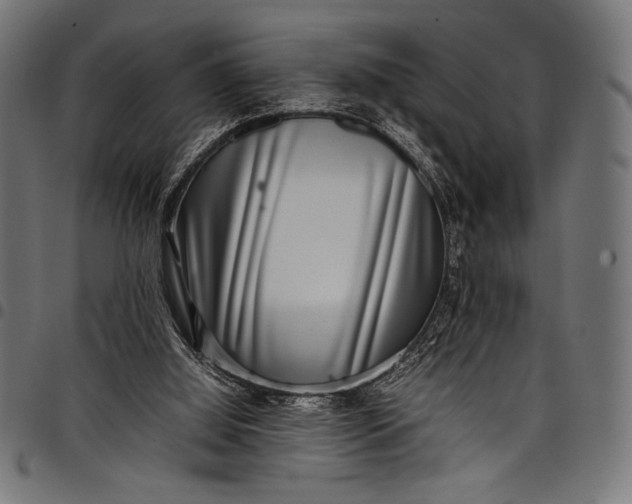 X0000097820060200803281130