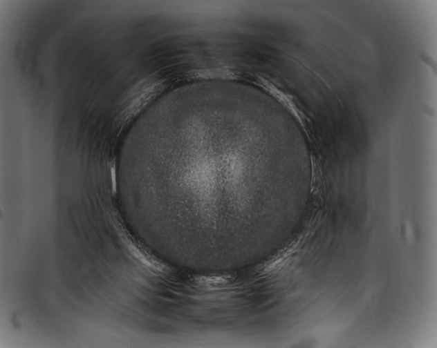 X0000097820061200803281130