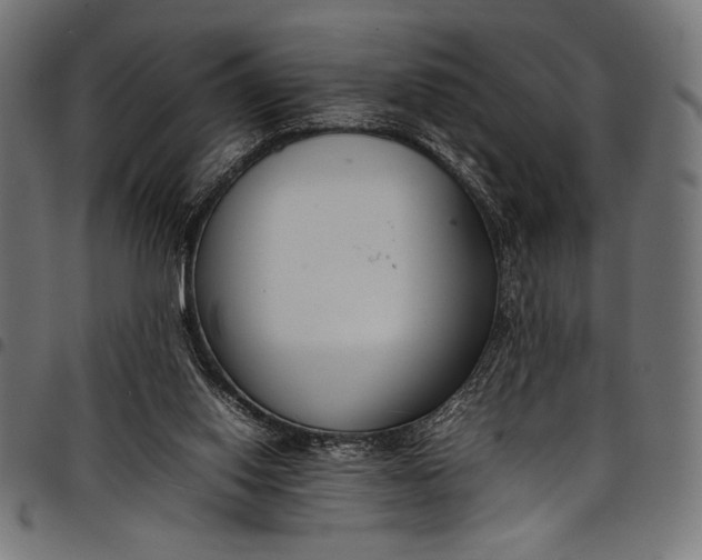 X0000097820062200803281130