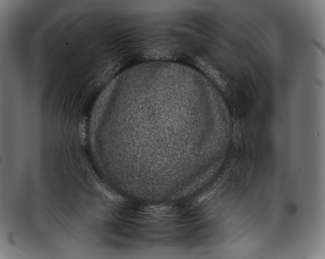 X0000097820065200803281130