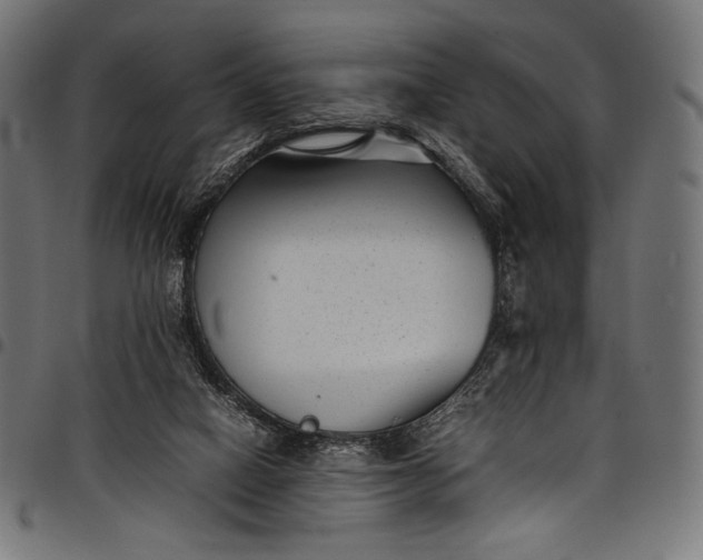 X0000097820066200803281130