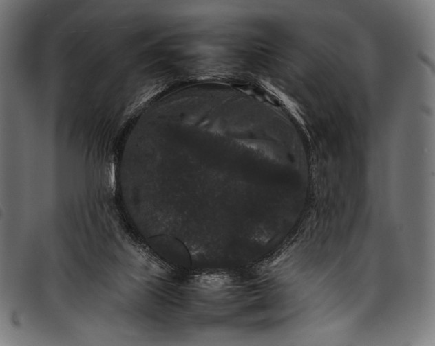 X0000097820067200803281130