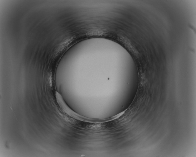 X0000097820068200803281130