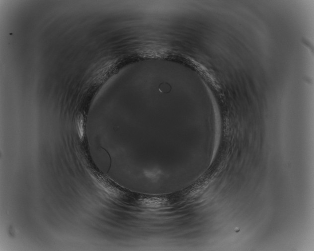 X0000097820069200803281130