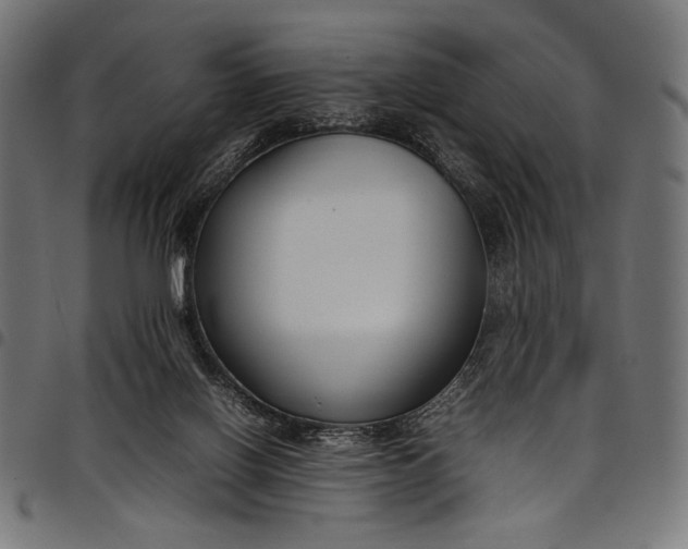 X0000097820070200803281130