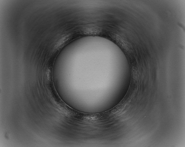 X0000097820071200803281130