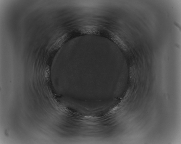 X0000097820073200803281130