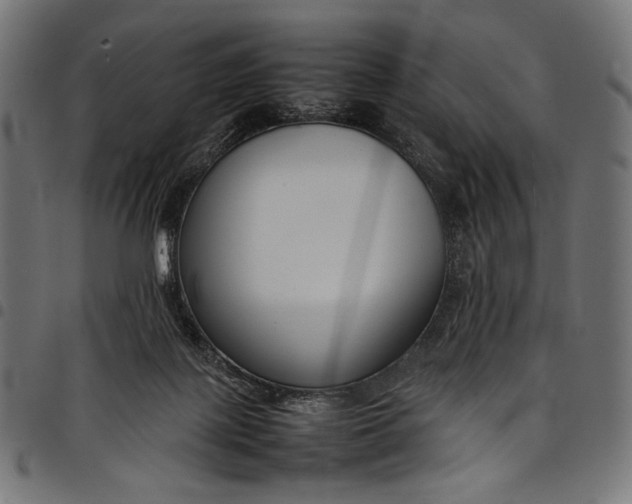 X0000097820075200803281130