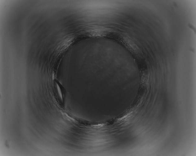 X0000097820076200803281130