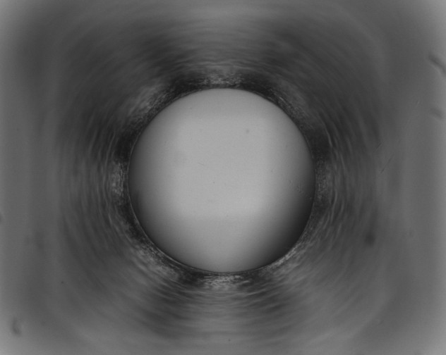 X0000097820078200803281130