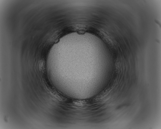 X0000097820079200803281130