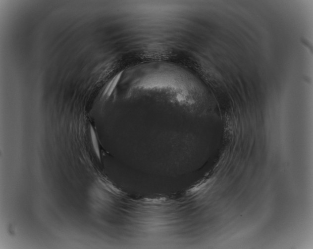 X0000097820080200803281130