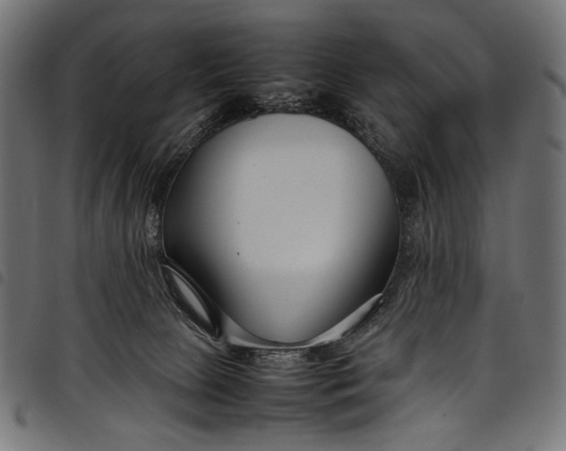 X0000097820081200803281130