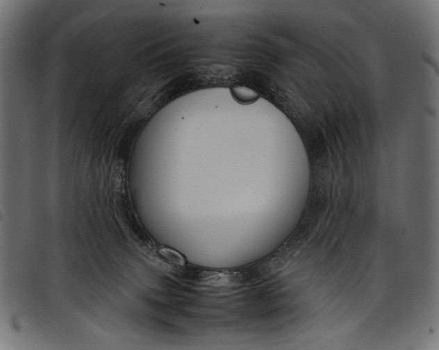 X0000097820083200803281130