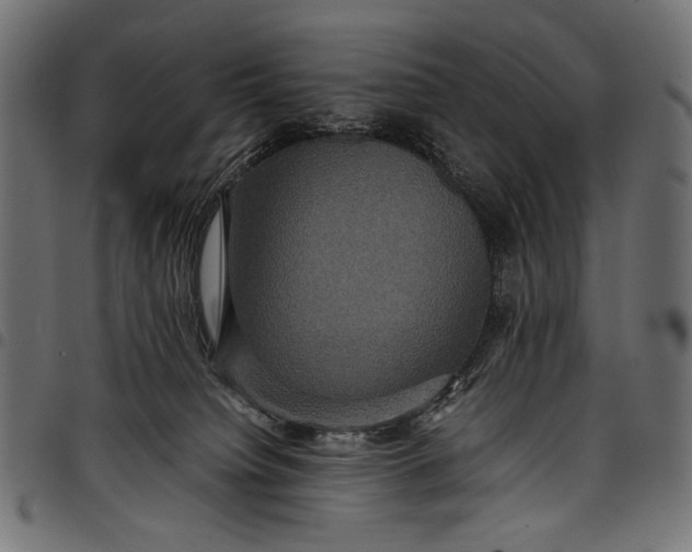 X0000097820084200803281130