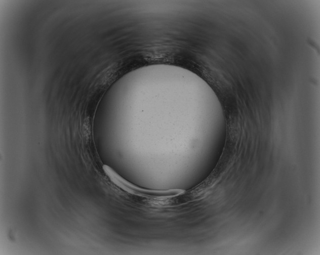 X0000097820085200803281130