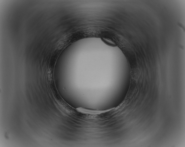 X0000097820086200803281130