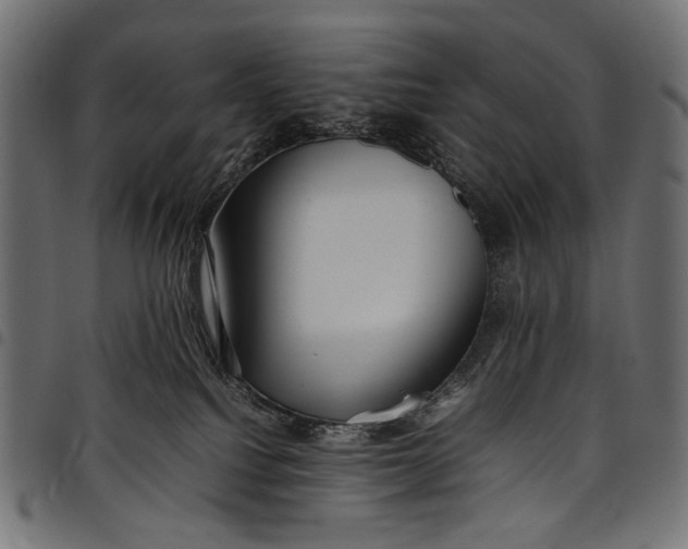 X0000097820088200803281130