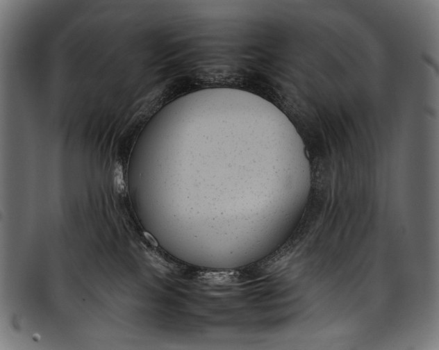 X0000097820089200803281130