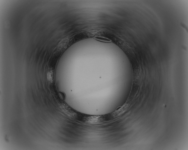 X0000097820090200803281130