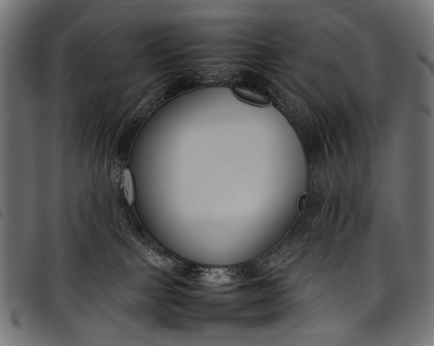 X0000097820091200803281130