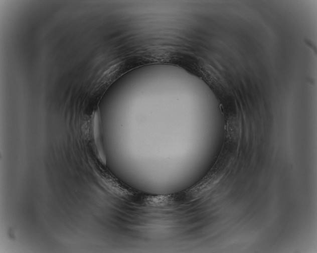 X0000097820092200803281130