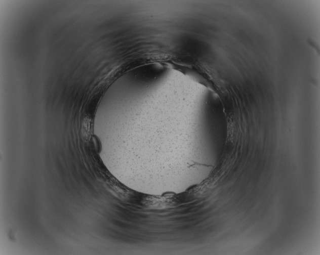 X0000097820093200803281130