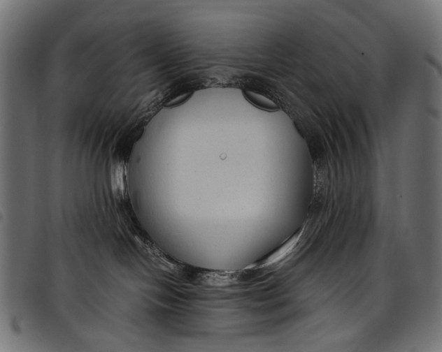 X0000097820094200803281130