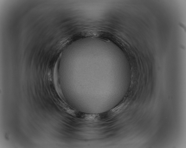 X0000097820096200803281130