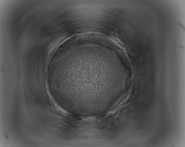 X0000097820097200803281130