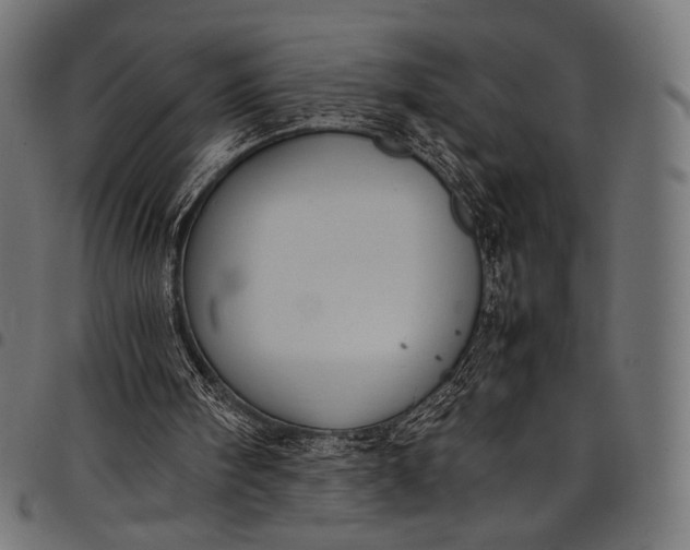 X0000097820098200803281130