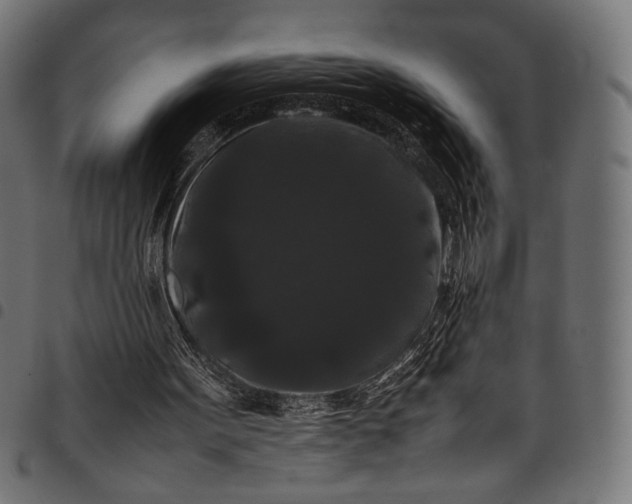 X0000097820099200803281130