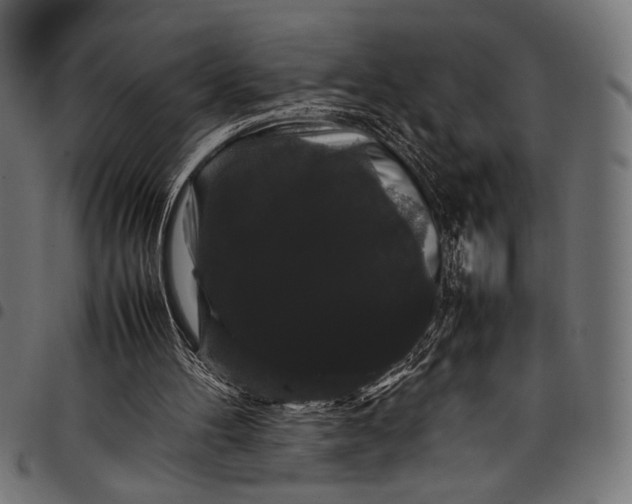 X0000097820100200803281130