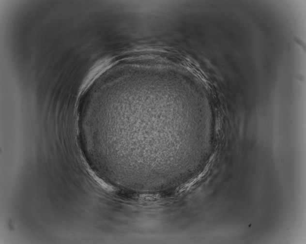 X0000097820101200803281130