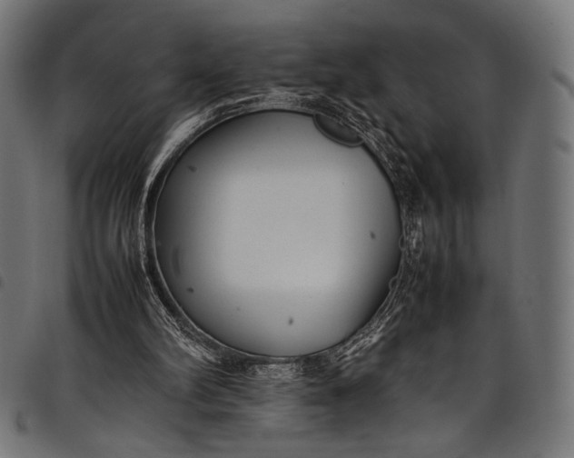 X0000097820102200803281130