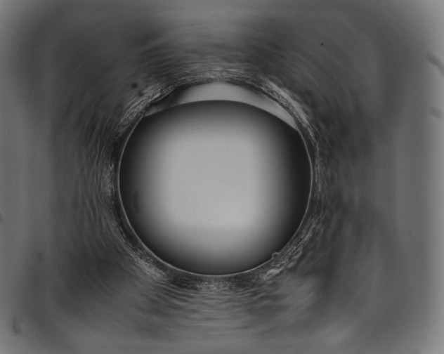 X0000097820105200803281130