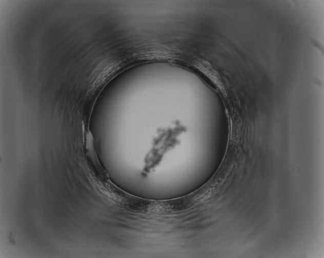 X0000097820109200803281130