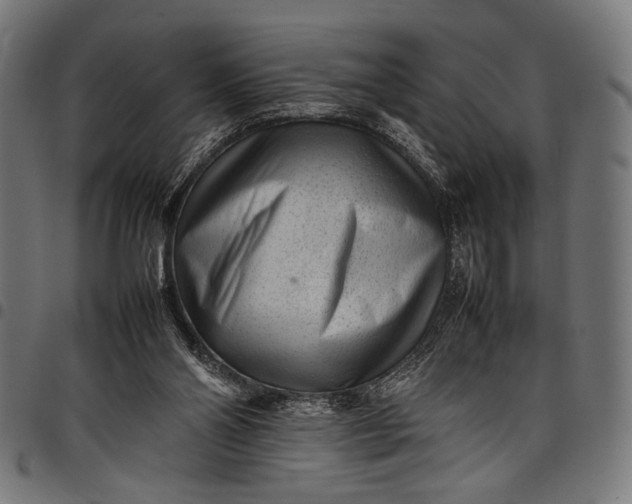 X0000097820110200803281130