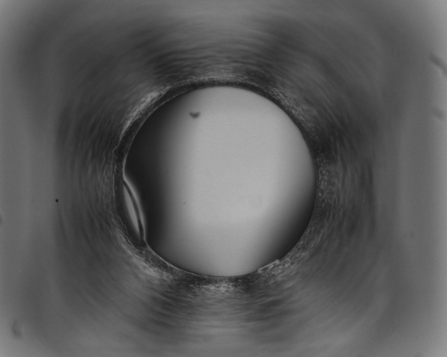 X0000097820112200803281130