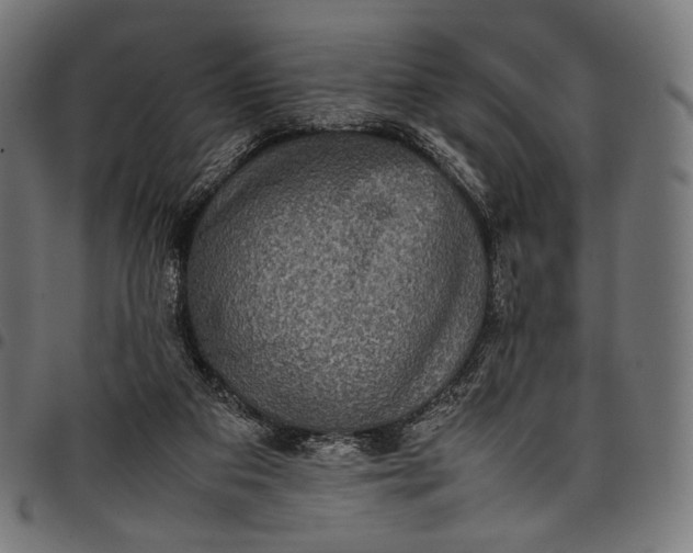 X0000097820113200803281130