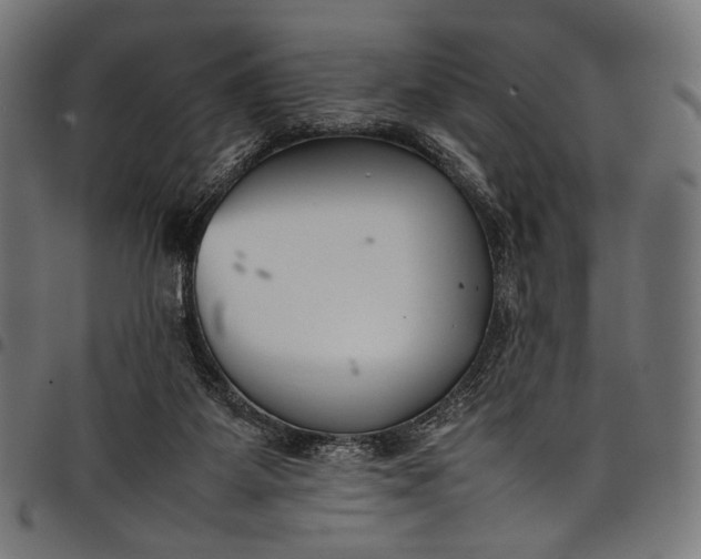 X0000097820115200803281130