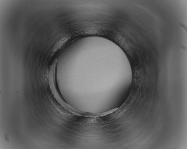 X0000097820116200803281130