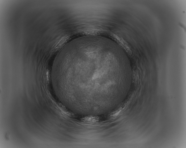 X0000097820117200803281130