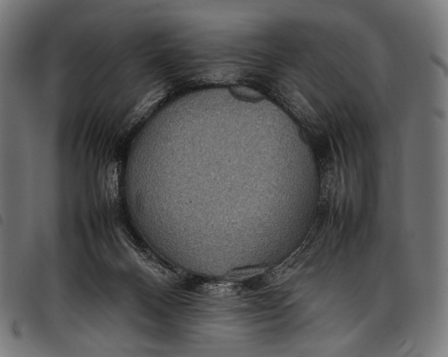 X0000097820120200803281129